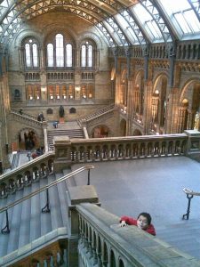 Natural History Museum London KidRated reviews by kids family offers