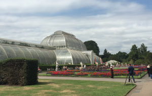 Palm house at Kew Gardens