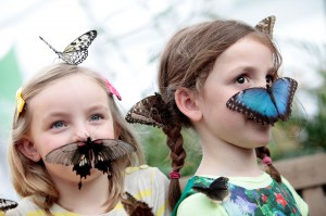 Sensational Butterflies at the Natural History Museum, an official K-Rated attraction © The Trustees of the Natural History Museum, London