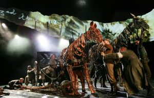 War Horse 