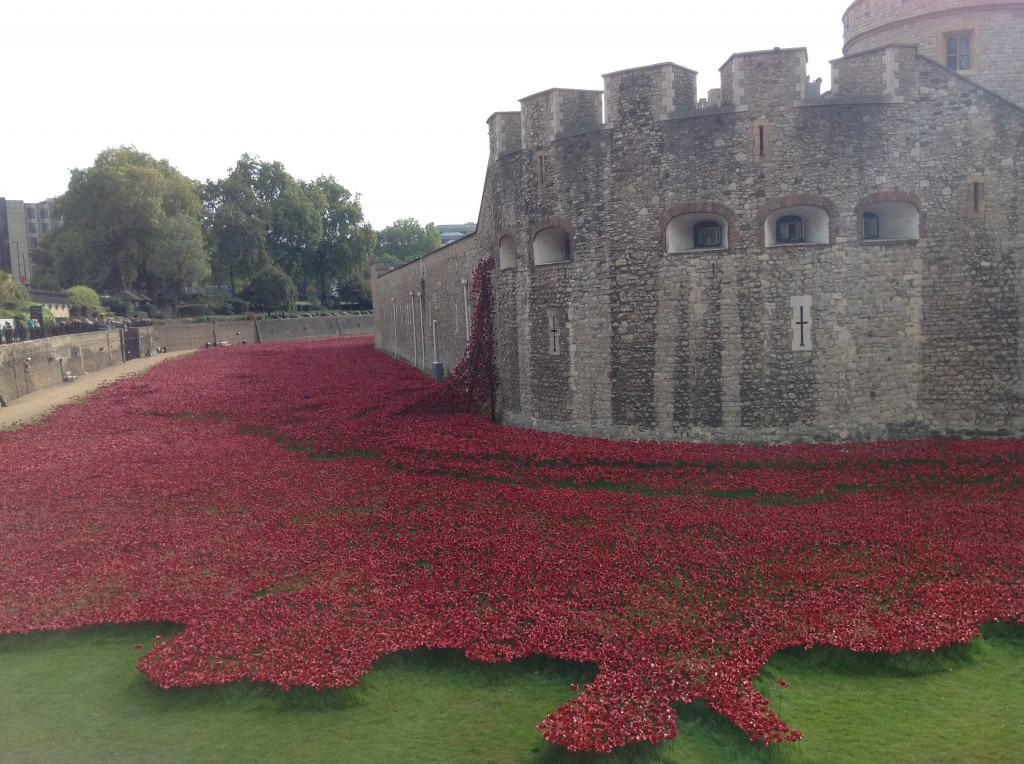 Tower of London poppies 7