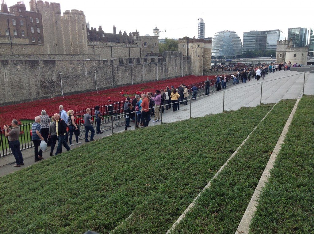 Tower of London poppies 9