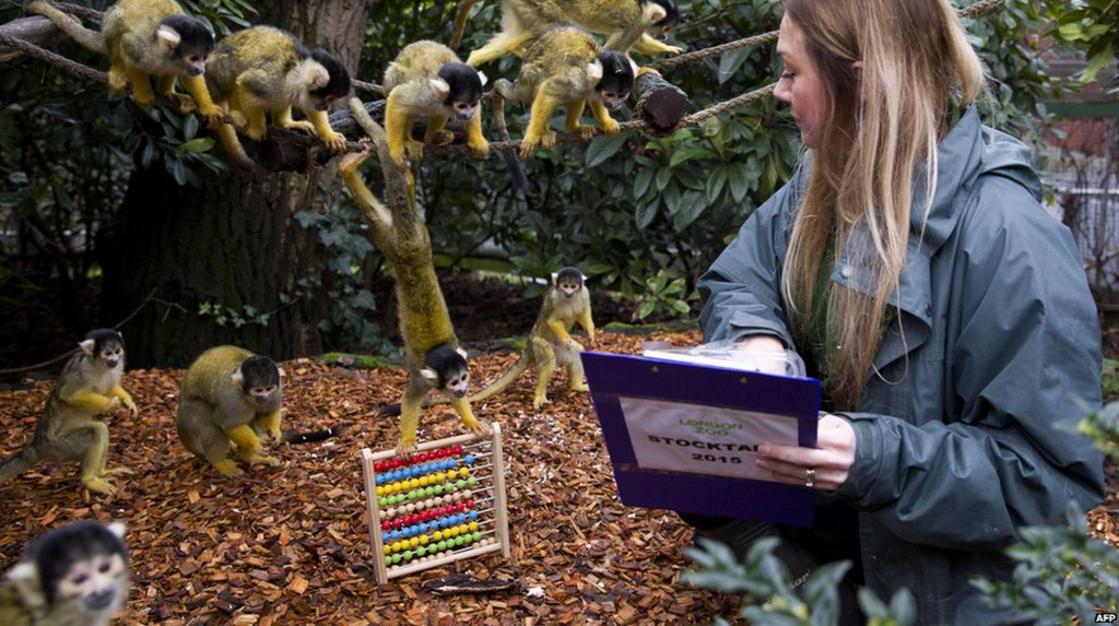 London Zoo takes a Stock Take - KidRated News