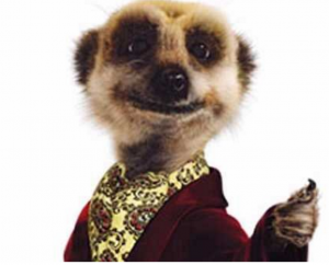 meerkat movies