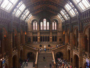 Natural History Museum