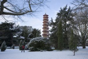 kew gardens