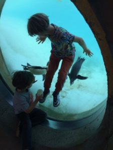 jason solomon's sons with penguins at london zoo kidrated