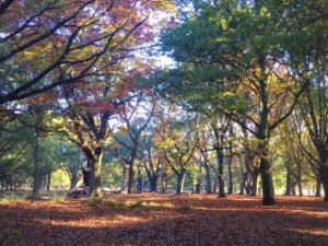 richmond park