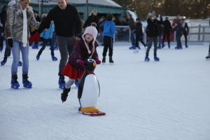 Winterville Christmas Ice Skating