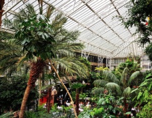 Barbican Conservatory Kidrated 100 quirky things to do in london 