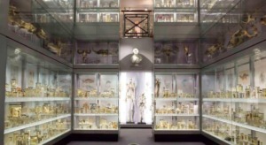 The Hunterian Museum Kidrated 100 quirky things to do in london 