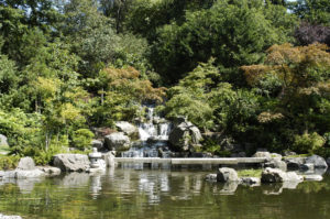 Alice Bhandukravi loves The Kyoto Garden, Holland Park