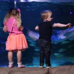 2 children stood in front of an aquarium with a large fish swimming past